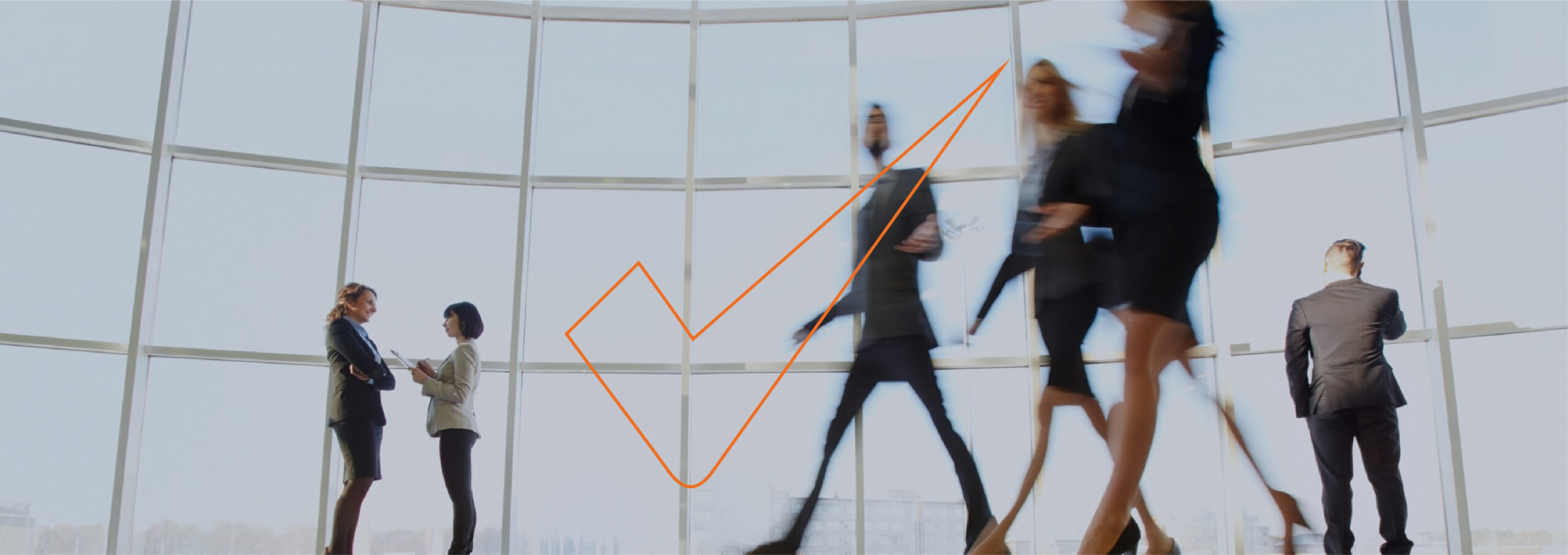 Appraiser Qualifications | MetriQ Valuation Requirements